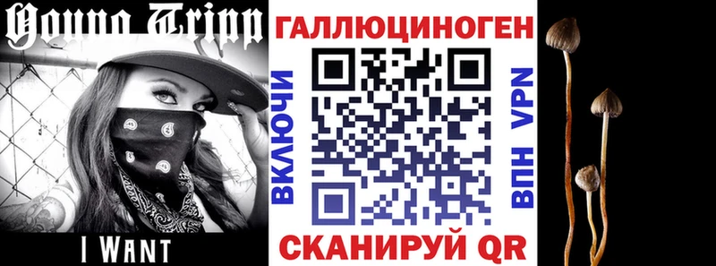 Псилоцибиновые грибы ЛСД  blacksprut ссылка  Канаш  продажа наркотиков 